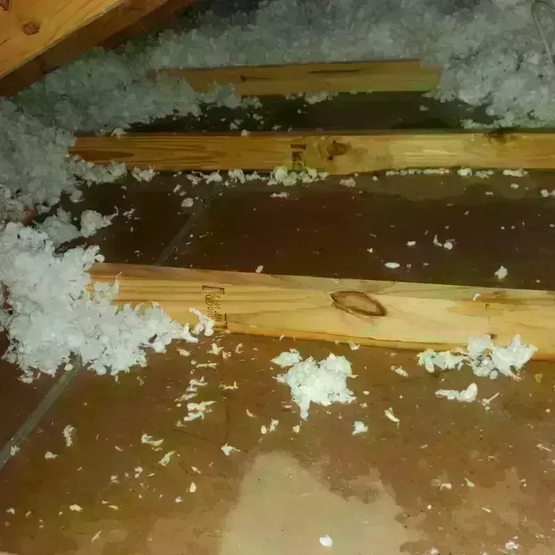 Attic Water Damage in Mount Vernon, IN